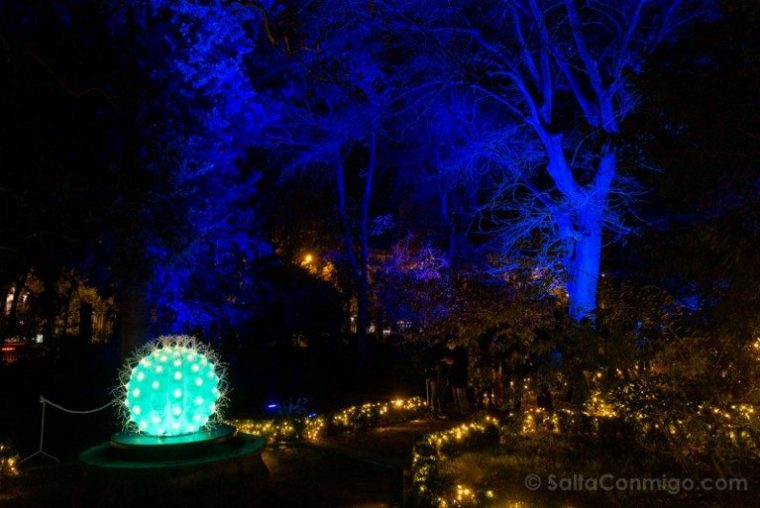 Las Luces Del Jardín Botánico De Madrid: Entradas, Precios … intérieur Horario Jardin Botanico Madrid
