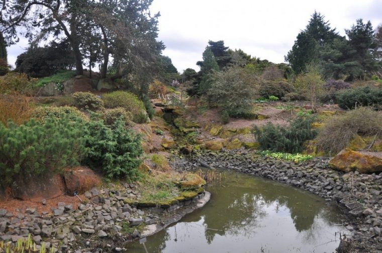 Las Temporadas En El Jardín Botánico De Edimburgo – Ser … concernant Jardin Botanico Edimburgo
