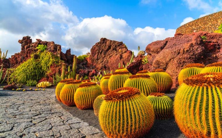 Le Jardin De Cactus De Guatiza | Espagne Fascinante dedans Jardin Cactus Lanzarote