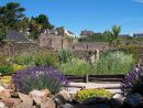 Le Jardin | Musée De L'Ancienne Abbaye De Landévennec avec Jardin De L Abadessa