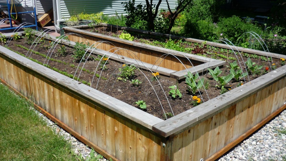 Lesurvivaliste: Le Jardin Surélevé ( 2 ) à Construire Un Carré Potager