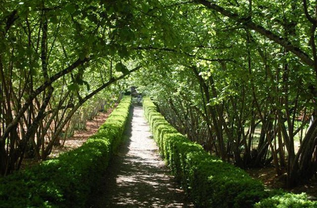 Los 10 Mejores Y Más Originales Jardines De Andalucía concernant Jardin Botanico Dunas Del Odiel