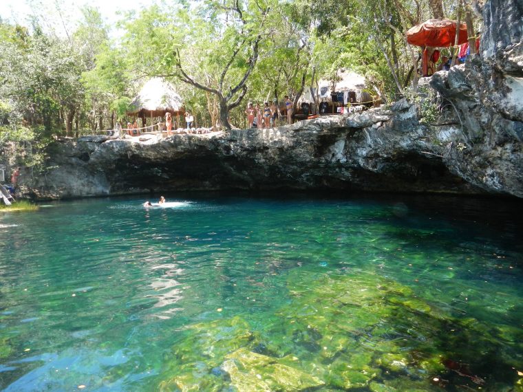 Los 12 Mejores Cenotes Para Visitar En La Riviera Maya … pour Los Jardines Del Eden