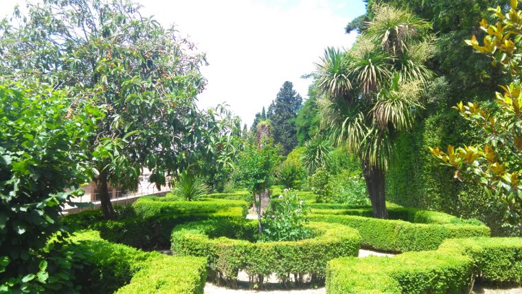 Los Cuidados Del Emblemático Jardín De La Casa Del Chapiz … dedans Cuidados Del Jardin