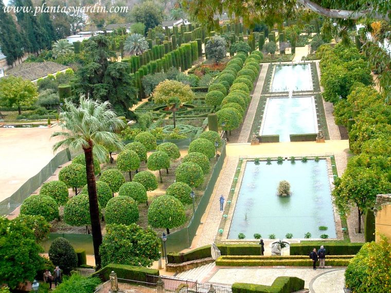 Los Jardines Del Alcázar De Los Reyes Católicos | Plantas … dedans Noche En Los Jardines De España