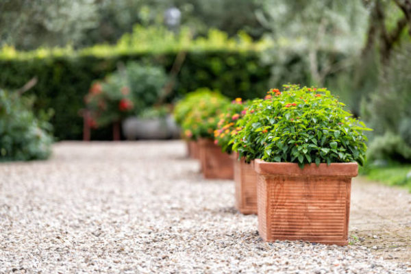 Los Mejores Métodos Y Trucos Para Tener Un Jardín Bonito … serapportantà Ideas Para Un Jardin Bonito