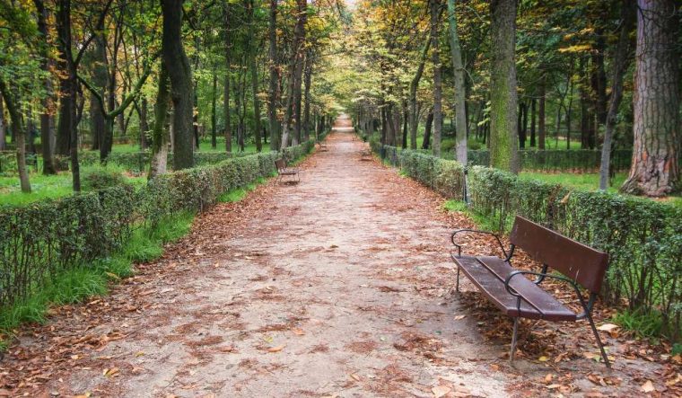 Madrid Abrirá Mañana Los Parques Más Pequeños Y … avec Parques Y Jardines Ayuntamiento De Madrid
