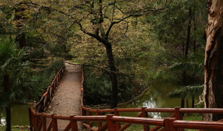 Madrid En Foto: Parque Del Retiro: Jardín Japonés. concernant Jardin Japones Madrid