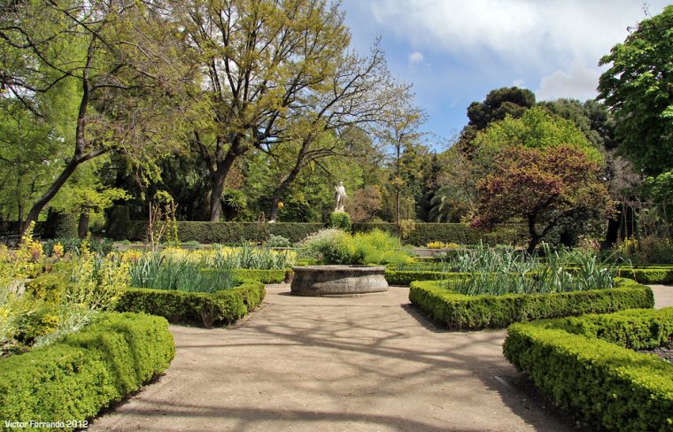 Madrid – Real Jardín Botánico | Madrid – Real Jardín … serapportantà Real Jardin Botanico Madrid