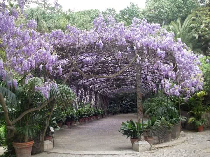 Málaga Desconocida- Jardin Botanico De La Concepción | Ny … encequiconcerne Jardin Botanico La Concepcion Malaga