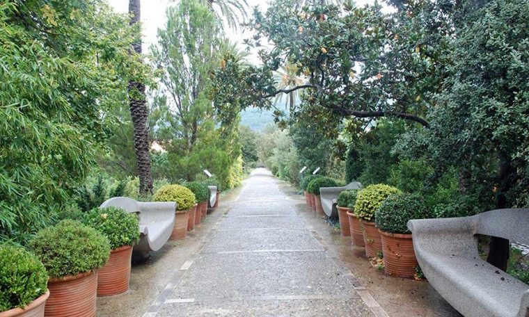 Mallorca – Jardines Sin Fronteras à Jardin Botanico Soller