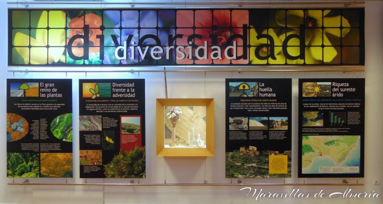 Maravillas De Almería: El Albardinal, El Jardín De Rodalquilar serapportantà Jardin Botanico Rodalquilar