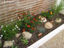 Marycot: Semblanza De Un Jardín… pour Como Hacer El Jardin De Mi Casa