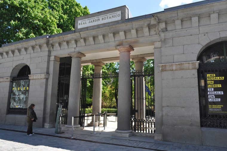 Me He Metido En Un Jardín…: El Jardín Botánico De Madrid pour Jardin Botanico Madrid Precio Entrada