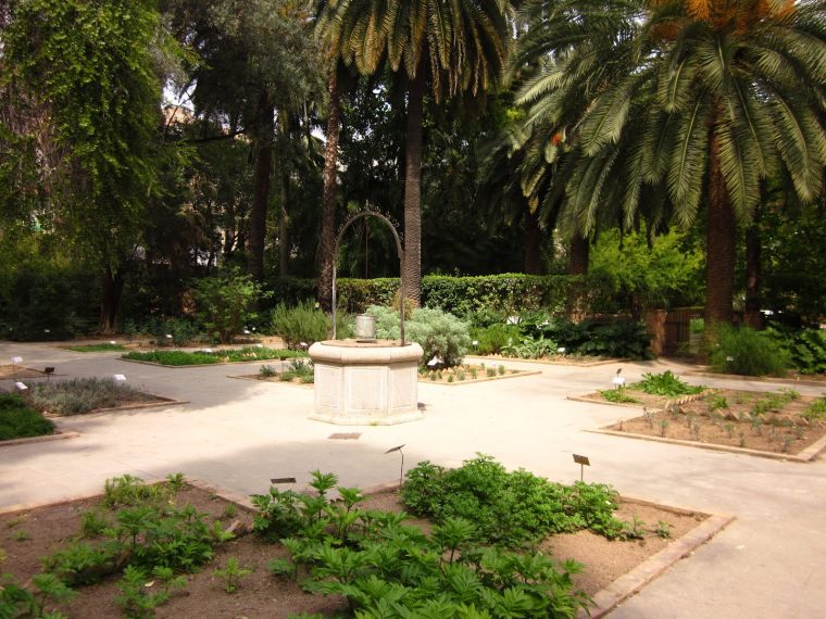 Me He Metido En Un Jardín…: El Jardín Botánico De Valencia avec Jardin Botanico Valencia