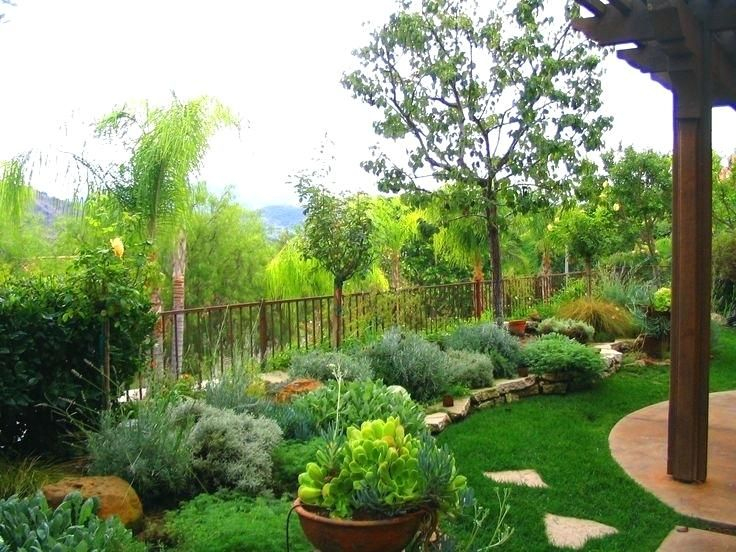 Mediterranean Garden Plan | Jardines Modernos, Diseño De … dedans Jardin Mediterraneo Diseño