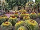 Mejores Consejos Para Visitar Las Palmas Gran Canaria ... destiné Jardin Canario Tafira