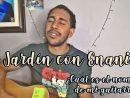 Melendi - Tu Jardín Con Enanitos (Cover + Mi Guitarra ... encequiconcerne Tu Jardín Con Enanitos Melendi