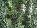 Mes Jardins, Balcons, Terrasses - L'Aurey Des Jardins destiné Lori Solondz