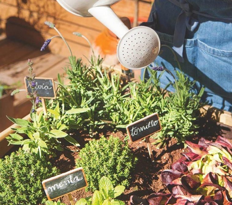 Mesa De Cultivo Con Plantas Aromáticas Y Regadera # … avec Jardines Con Plantas Aromaticas