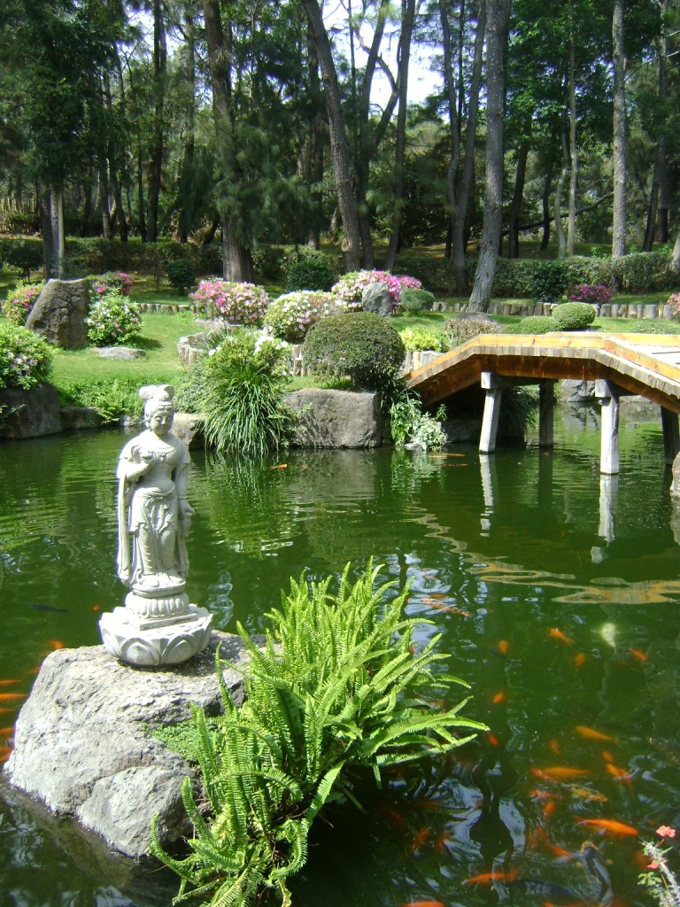 México A Través De La Mirada De Una Cubana: Jardines Japoneses intérieur Fotos Jardines Japoneses