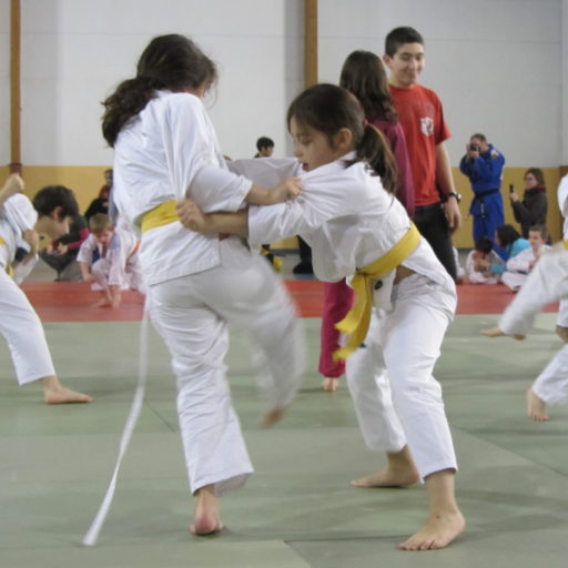 Montpellier Métropole Asptt Judo | Montpellier Métropole … pour Asptt Judo Brest