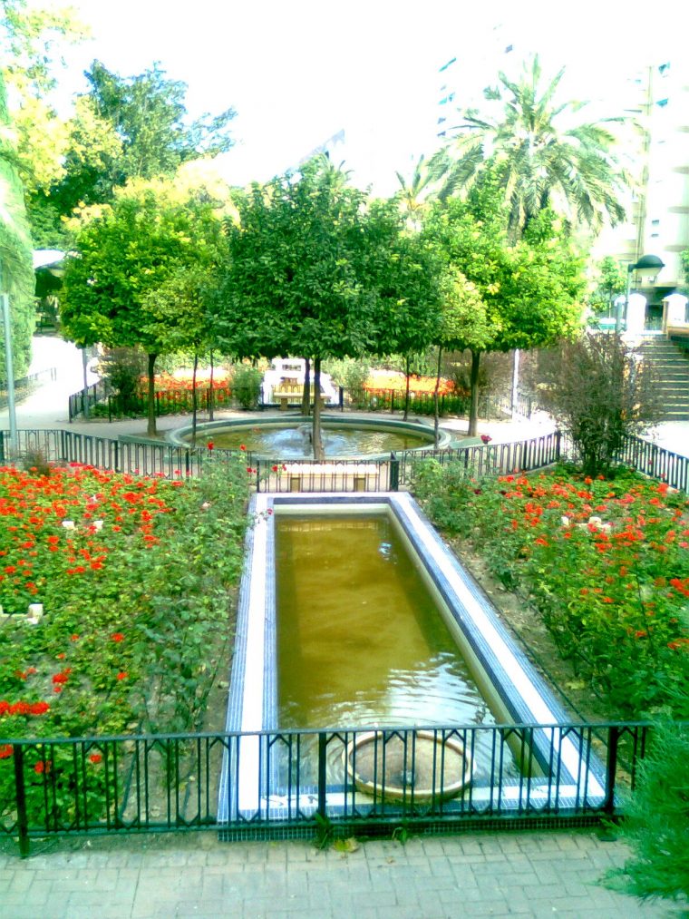 Murciadailyphoto: Diciembre 2010 à Jardin Del Salitre Murcia