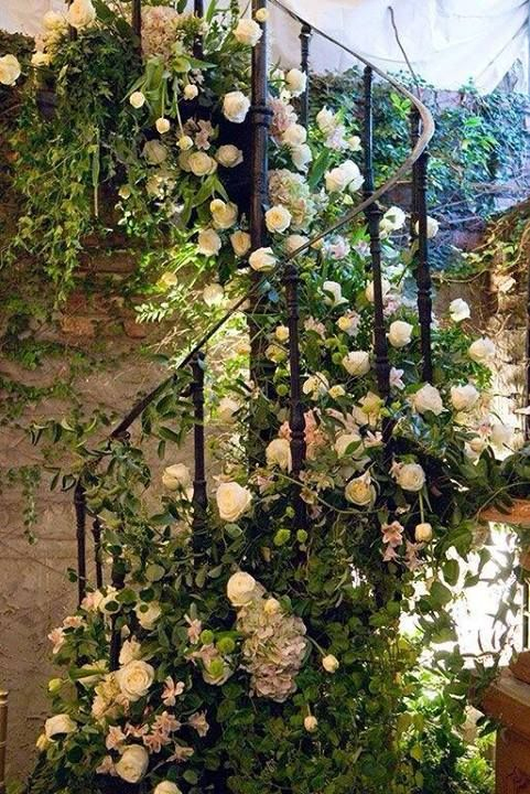 Oh Yes! | Climbing Roses, Dream Garden, Beautiful Gardens intérieur Enredaderas De Jardin