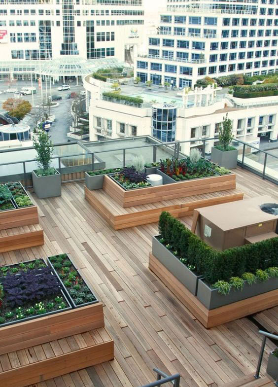 Once Espectaculares Ideas Para Construir Un Jardín En La ... pour Jardines En Azoteas