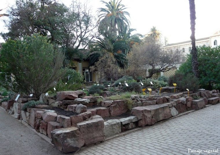 Paisaje Vegetal: Jardín Botánico De Valencia (Ii) encequiconcerne Jardín Botánico Valencia