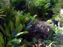 #Paisajismojardinespatio | Jardines Tropicales, Jardines ... concernant Jardines Tropicales