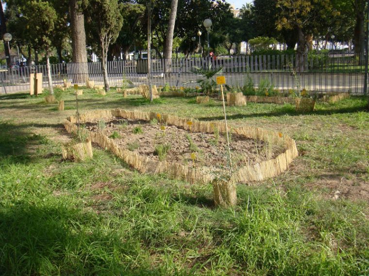 Pajaricos De Murcia: Trabajo Voluntario Para La … encequiconcerne Jardin Botanico Murcia