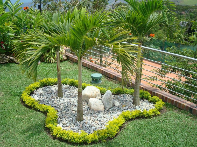 Palmas :: Diseño & Arte | Jardines Tropicales, Jardines … pour Decoracion De Patios Y Jardines Con Piedras