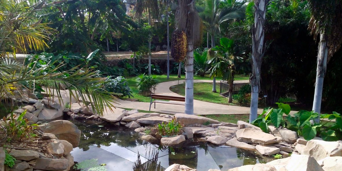Palmetum [Excursión Desde El Puerto De La Cruz] intérieur Jardin Botanico Precio