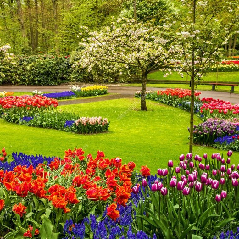 Park Keukenhof – Jardin De Fleurs De Tulipes, Hollande … à Jardines De Keukenhof