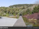 Parque Jardin Botanico | Parque, Jardín Botánico, Parc De ... dedans Jardin Botanico Barcelona