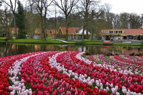 Parque Keukenhof, Jardín De Tulipanes. Holanda avec Jardines De Holanda