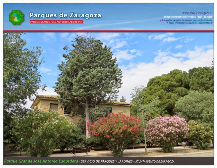 Parques De Zaragoza | Guía De Especies Ornamentales De … intérieur Jardin Botanico Zaragoza