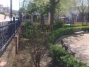 Parques Y Jardines De Ogijares: Arreglo Parque García ... pour Los Jardines De Lorca