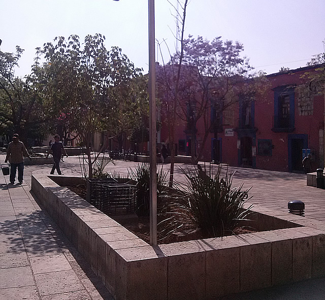 Parques Y Jardines En La Ciudad De Oaxaca - Oaxaca Mio tout Asociacion De Parques Y Jardines