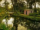 Paseo Por El Jardín Botánico Atlántico | Tras El Cierre ... pour Jardin Botanico Atlantico