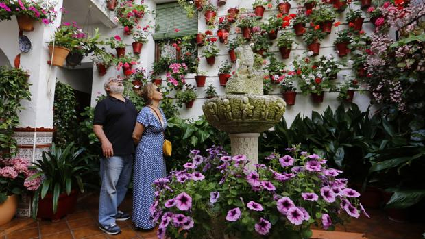 Patios Córdoba 2020: ¿Cómo Se Podrán Visitar Los Patios De … pour Jardines En Cordoba Capital