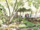 Peligran Campamentos En El Jardín Botánico | El Nuevo Día pour El Jardin Botanico Cartagena