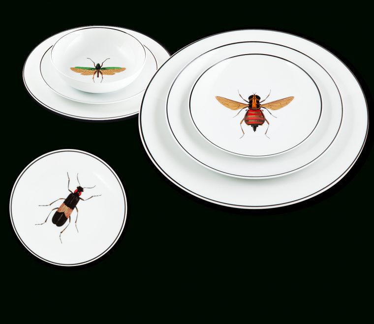 Piles_Assiette_Insecte2 En 2020 | Histoire Naturelle … avec Animal Fabuleux Porcelaine