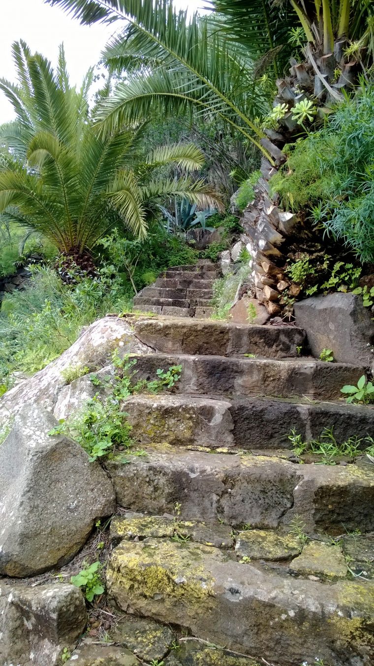 Pin Auf Stones And Rocks pour Jardin Canario Gran Canaria