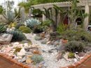 Pin By Nancy On Plantas Tolerantes A La Sequia | Cactus ... serapportantà Jardines Con Cactus Y Piedras