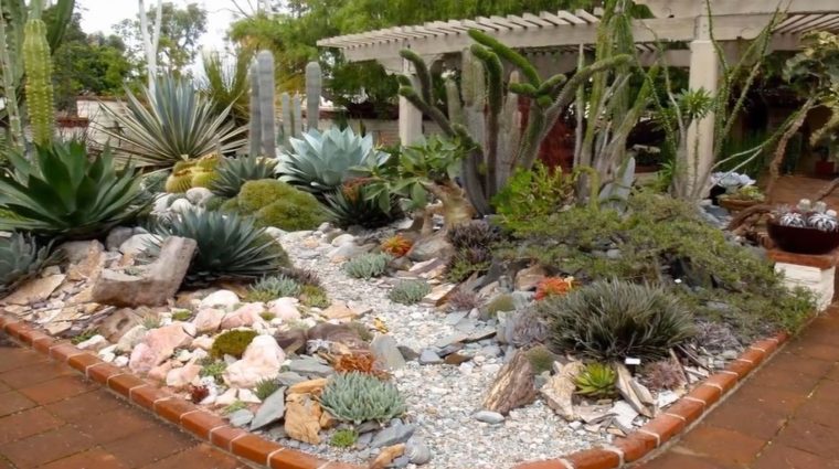 Pin By Nancy On Plantas Tolerantes A La Sequia | Cactus … serapportantà Jardines Con Cactus Y Piedras