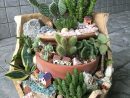 Pin By Reyna Ruiz Ramirez On Broken Pot | Fairy Garden ... dedans Jardines De Cactus Y Suculentas