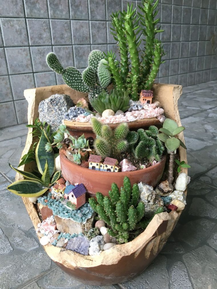 Pin By Reyna Ruiz Ramirez On Broken Pot | Fairy Garden … dedans Jardines De Cactus Y Suculentas