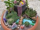 Pin By Sylvia On Gardens | Fairy Garden Designs, Fairy ... pour Jardines Con Cactus Y Piedras